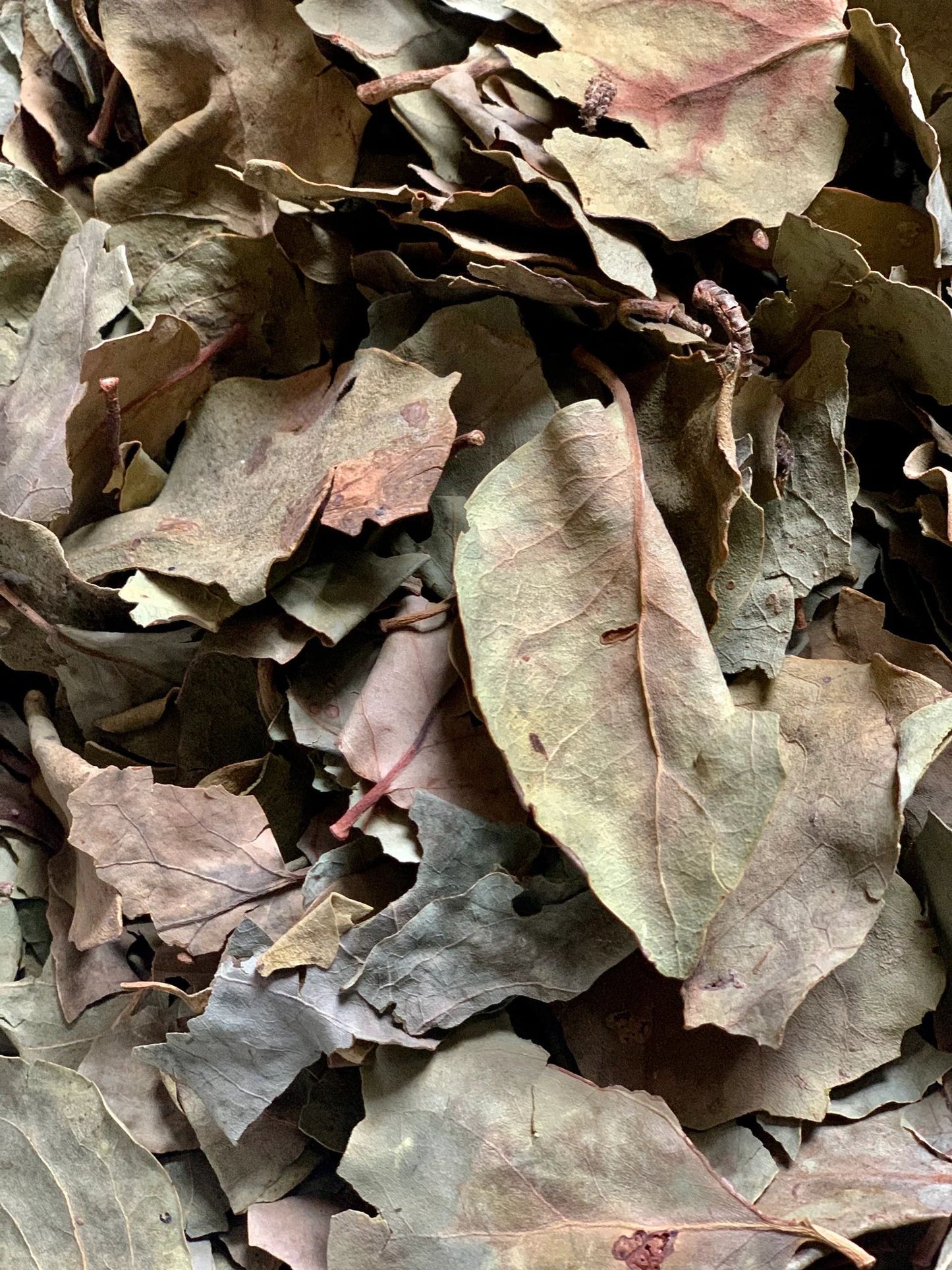 MOUSSOYIRI - La plante des femmes